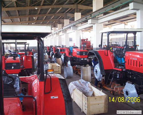 2006